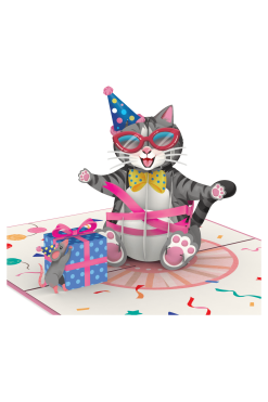 PaperCrush Pop-Up Kaart verjaardagskat